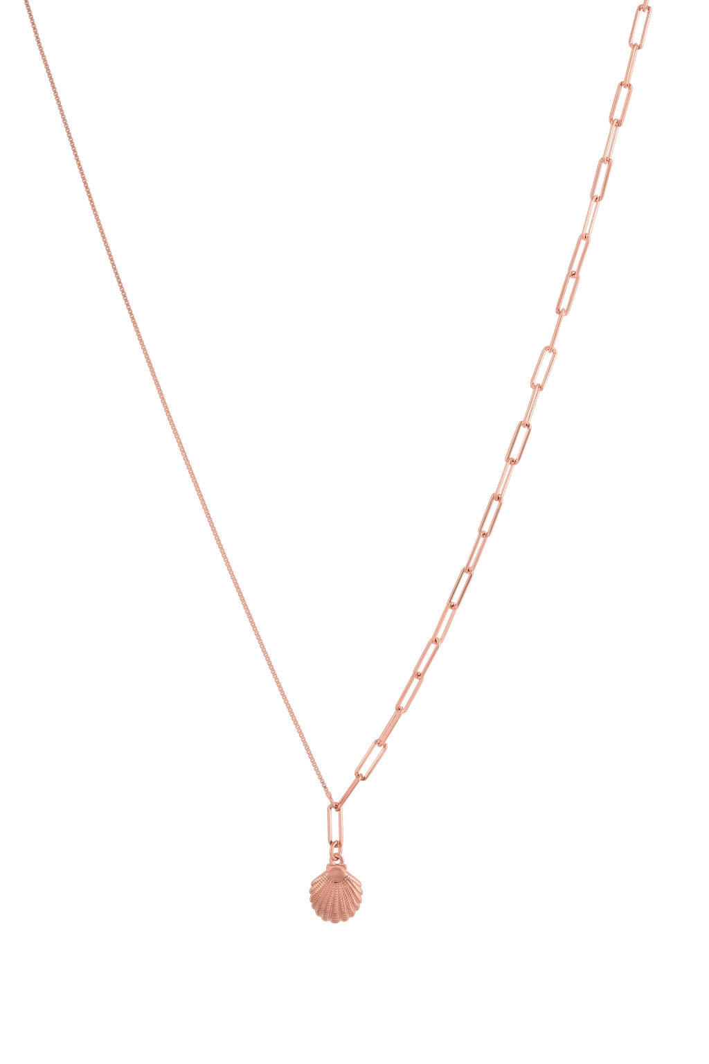 Shell Necklace - 925 Silver