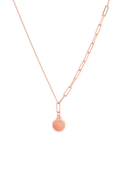 Shell Necklace - 925 Silver